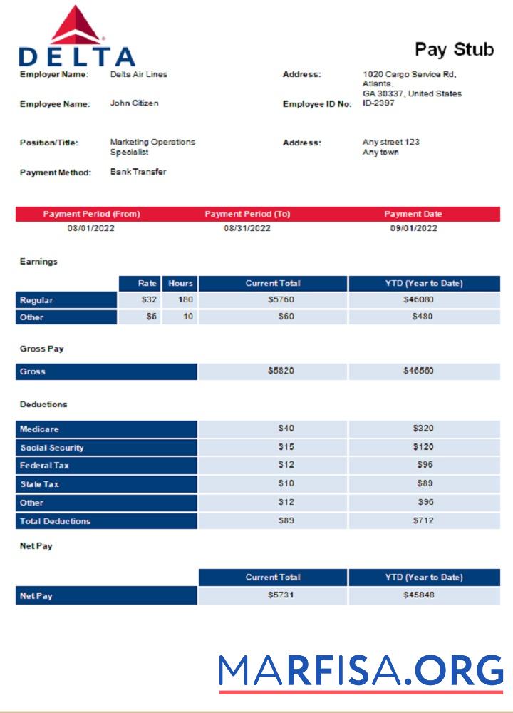 Downloadable USA Delta Air Lines airlines company pay stub sample